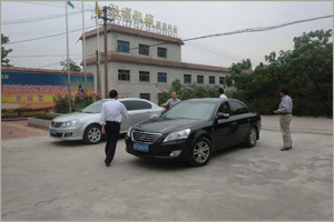 վ���������������е����