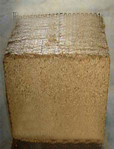 ��ĩѹ���ͼƬ