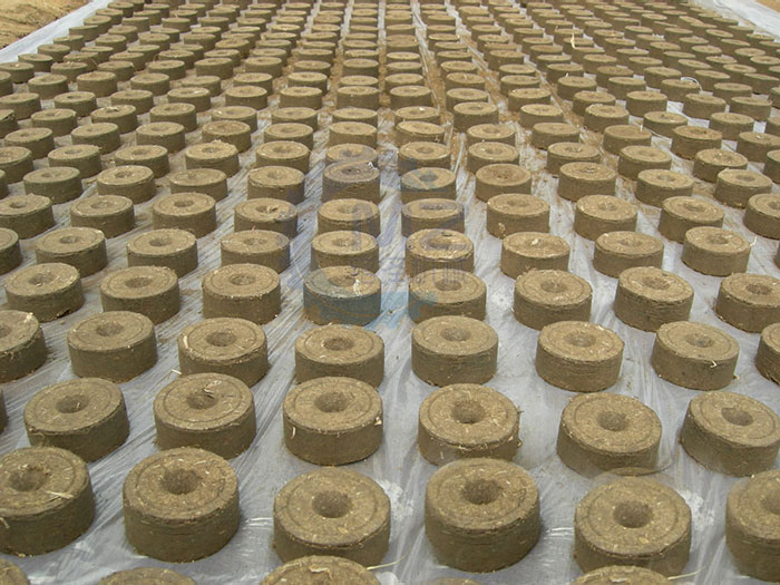 ������ѹ���