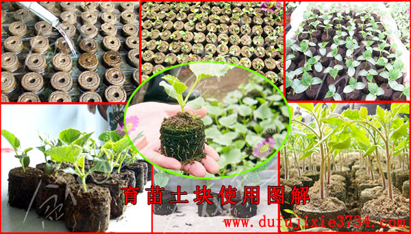 ÓýÃç¿éʹÓÃͼ½â