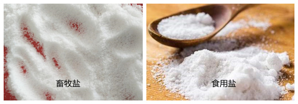 畜牧盐与食用盐区别